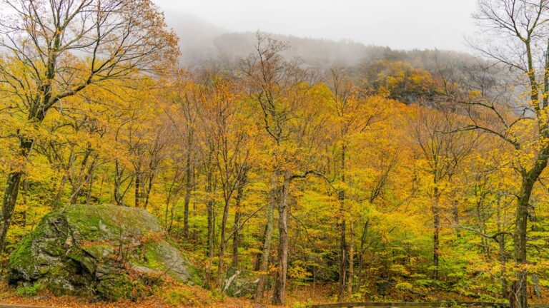 Bieszczady jesienią – przewodnik po najciekawszych trasach