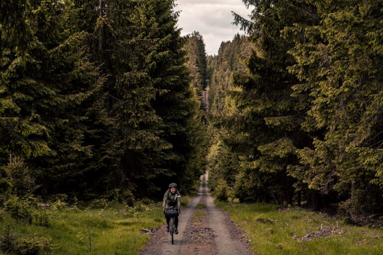 Drawieński Park Narodowy – trasy rowerowe i kajakowe