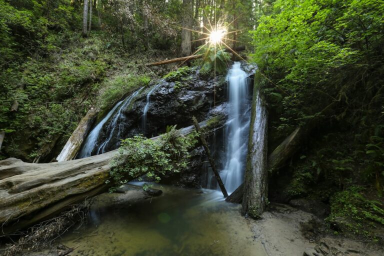 Kampinoski Park Narodowy – szlaki i ciekawostki dla rodzin