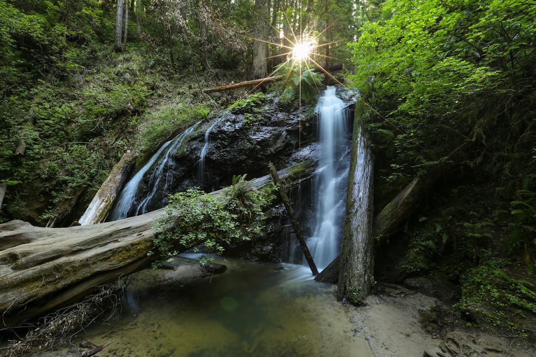 Kampinoski Park Narodowy – szlaki i ciekawostki dla rodzin