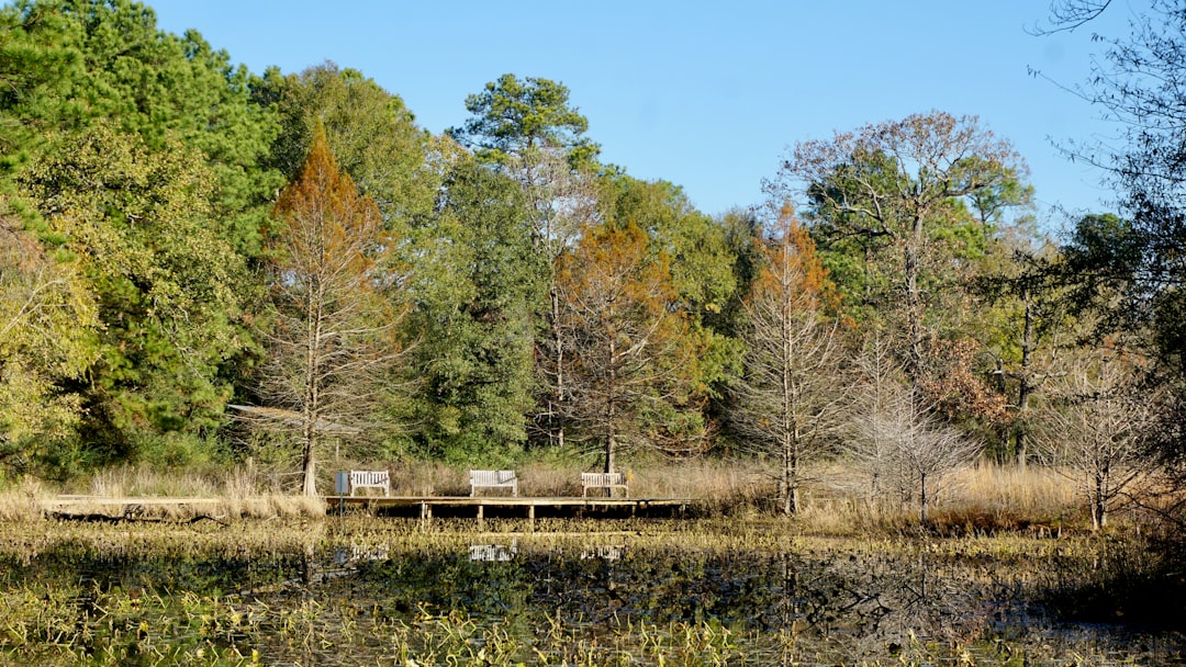 Poleski Park Narodowy – fauny i szlaki dla miłośników przyrody