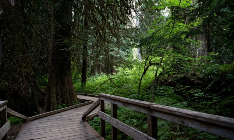 Roztoczański Park Narodowy – co zobaczyć latem
