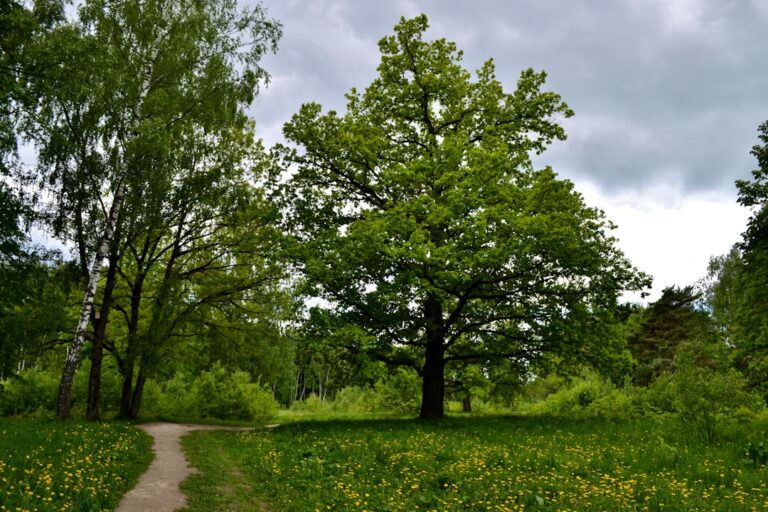 Wielkopolski Park Narodowy – gdzie na spacer z rodziną?
